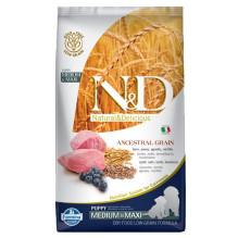 FARMINA N&amp;D Ancestral Grain Puppy Medium&amp;Maxi Lamb - dry dog food - 12 kg