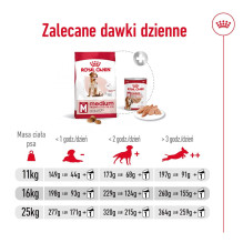 ROYAL CANIN Medium Adult 7+ - sausas šunų maistas - 15 kg