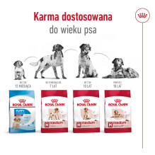 ROYAL CANIN Medium Adult 7+ - sausas šunų maistas - 15 kg