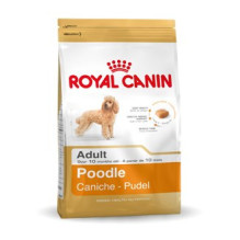 Royal Canin Pudelis Suaugęs 1,5 kg