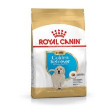 ROYAL CANIN Golden Retriever Puppy - sausas šunų maistas - 12 kg