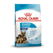 ROYAL CANIN SHN Maxi Starter Mother &amp; Babydog - dry dog food - 4 kg