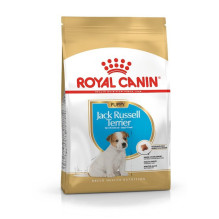 Royal Canin SHN veislė Jack Russell Junior - Sausas šunų maistas Paukštiena, ryžiai - 3 kg