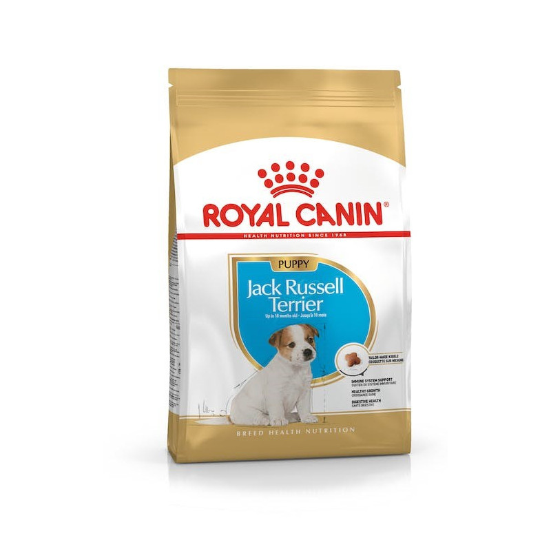 Royal Canin SHN veislė Jack Russell Junior - Sausas šunų maistas Paukštiena, ryžiai - 3 kg