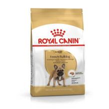 ROYAL CANIN French Bulldog Adult - sausas šunų maistas - 3 kg