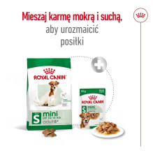 ROYAL CANIN Mini Adult +8 - sausas šunų maistas - 800 g