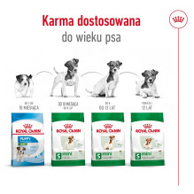 ROYAL CANIN Mini Adult +8 - sausas šunų maistas - 800 g