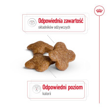 ROYAL CANIN Mini Adult +8 - sausas šunų maistas - 800 g