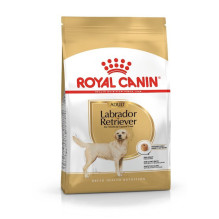 ROYAL CANIN Labrador Adult - sausas šunų maistas - 12 kg