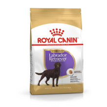 ROYAL CANIN Suaugęs labradoro retriveris Sterilizuotas - sausas šunų maistas - 12 kg