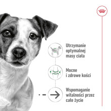 ROYAL CANIN Mini Aging Adult +12 - sausas šunų maistas - 3,5 kg