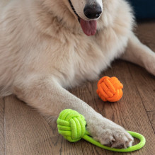DINGO Energy kamuolys su rankena - šuns žaislas - 6 x 22 cm