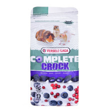 VERSELE LAGA Complete Crock Berry - treat for rodents - 50g