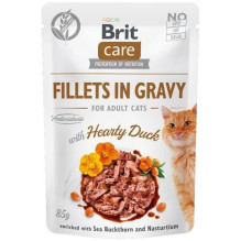 BRIT Care Fillets in Gravy...