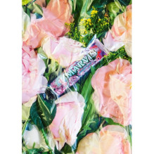 Kissing Rose Mėtų ir rožių aromato dantų pasta, 75ml