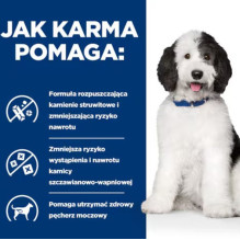 HILL'S PD Canine Urinary Care C / D - šlapias šunų maistas - 370g