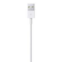 Apple Lightning ir USB kabelis (1В m)