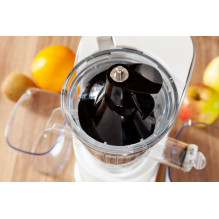 ELDOM Slow juicer, 250 W, quiet, 2 motor directions, black