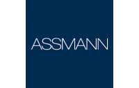 Assman electronic